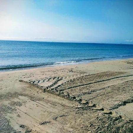 Apartamento Lavanda , Costamarina, Cabo Roig Dehesa de Campoamor  Exterior photo