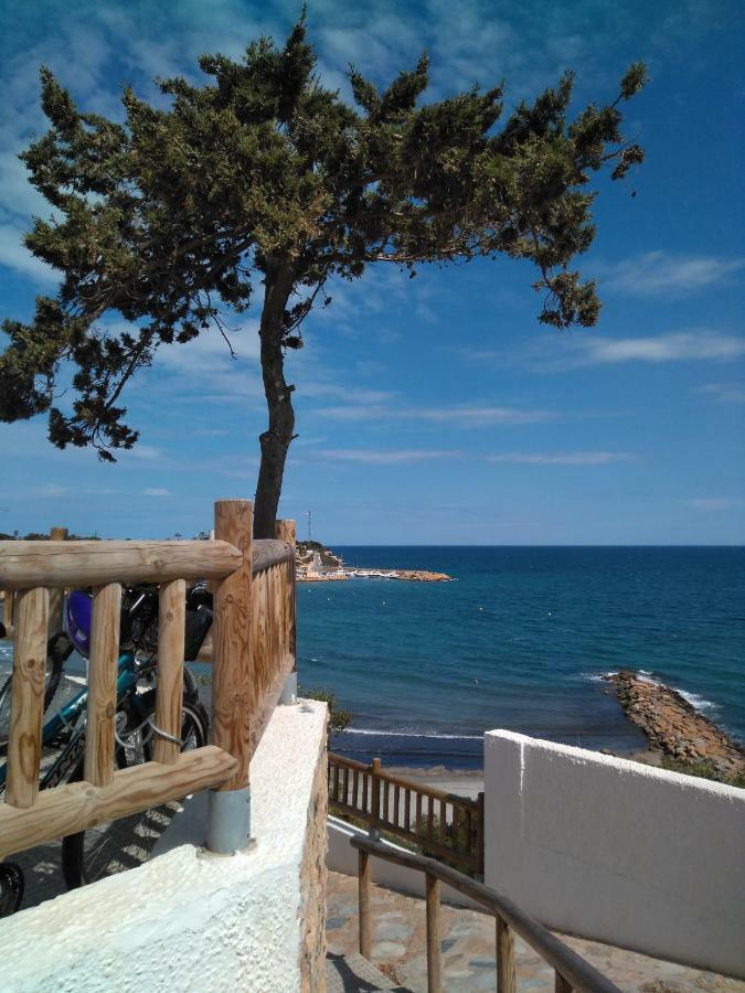 Lavanda , Costamarina, Cabo Roig * Dehesa de Campoamor (Orihuela Costa)