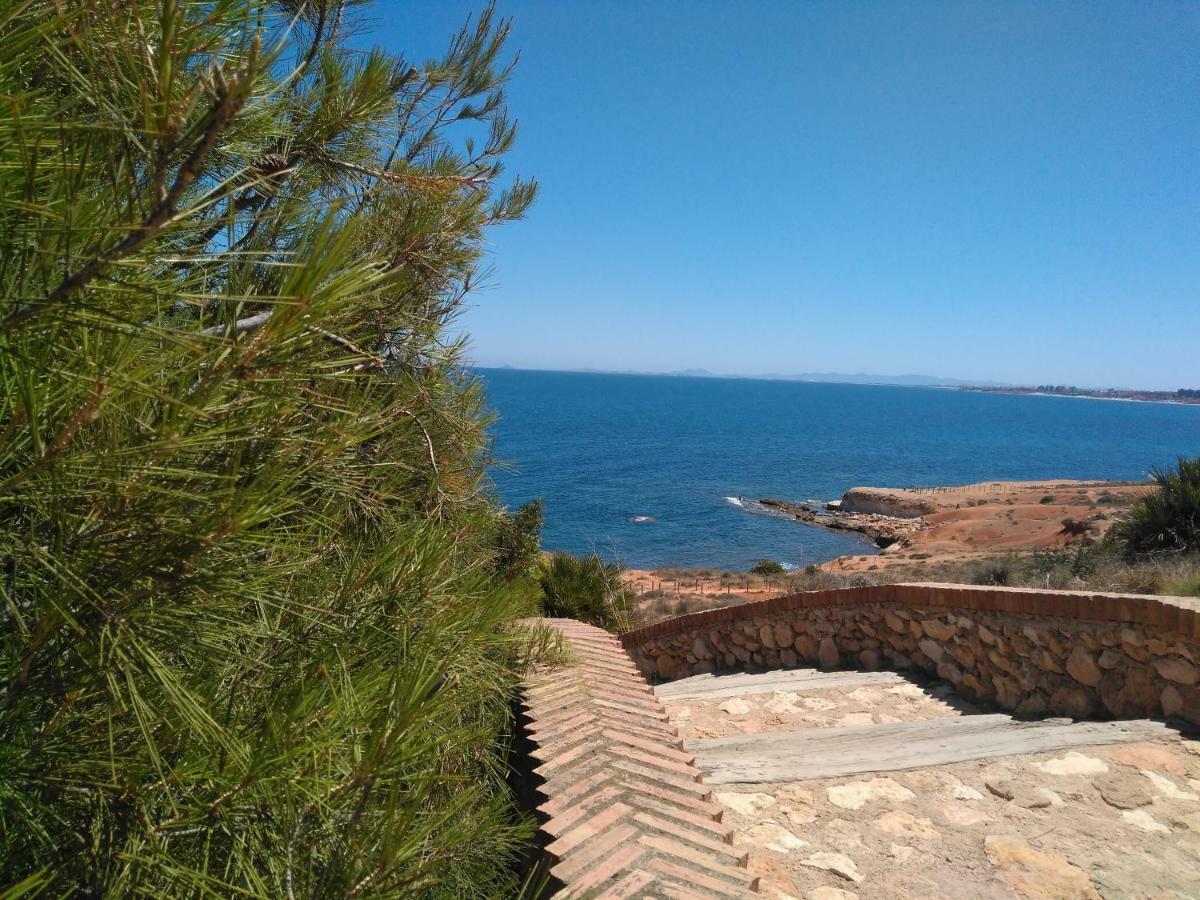 Lavanda , Costamarina, Cabo Roig Dehesa de Campoamor (Orihuela Costa)