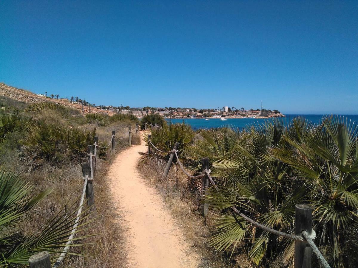 Lavanda , Costamarina, Cabo Roig
