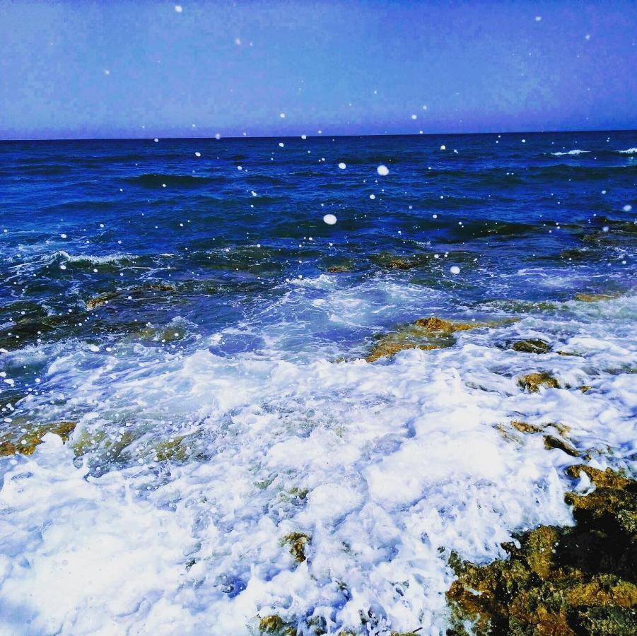 Lavanda , Costamarina, Cabo Roig * Dehesa de Campoamor (Orihuela Costa)